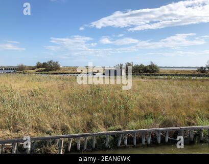 Das Valli di Comacchio, Fischbecken von Comacchio, Comacchio, Italien Stockfoto