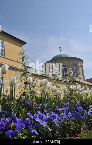 Der Berggarten in Hannover-Herrenhausen Stockfoto