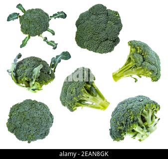 Sammlung von frischen grünen Broccoli isoliert Stockfoto