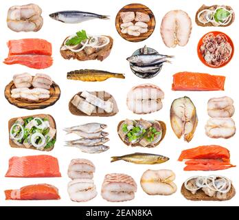 Set von verschiedenen gesalzenen Fischen isoliert auf weiß Stockfoto