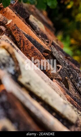 Stücke von alten Ton Dachziegel. Stockfoto