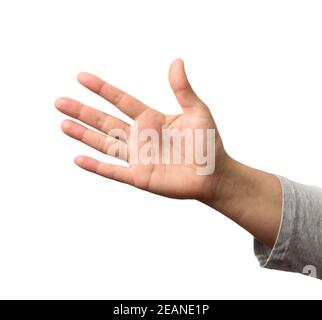 Offene weibliche Handfläche streckt sich nach vorne, Körperteil isoliert auf weißem Hintergrund Stockfoto