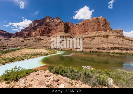 Zusammenfluss des Little Colorado und Colorado Rivers, Grand Canyon National Park, UNESCO Weltkulturerbe, Arizona, Vereinigte Staaten von Amerika Stockfoto