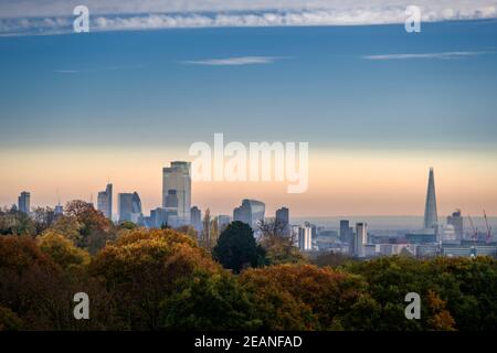Woodland auf Hampstead Heath im Herbst und City of London Financial District Skyline, Highgate, London, England, Großbritannien, Europa Stockfoto