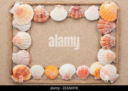 Rahmen aus Seil mit Muscheln auf dem Sand Stockfoto