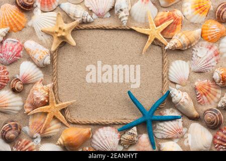 Schöner Rahmen aus Seil und Muscheln, Seesterne auf dem Sand Stockfoto