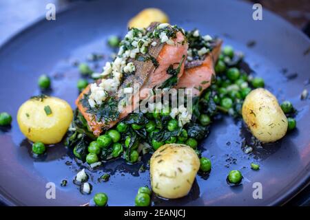 Lachsfilet mit grünen Erbsen und Spinat Stockfoto