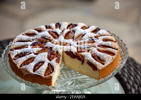 Köstliche Pflaumenkuchen mit Puderzucker bestreut Stockfoto