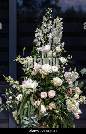 Beeindruckendes floristisches Bouquet von weißen Rosen und Delphinium - grün Drehen Stockfoto