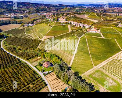 Luftaufnahme der Weinberge rund um das Schloss von Grinzane Cavour, Weinregion Barolo, UNESCO-Weltkulturerbe, Piemont, Italien, Europa Stockfoto