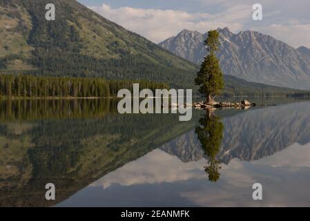 Leigh Lake im Grand Teton National Park Stockfoto