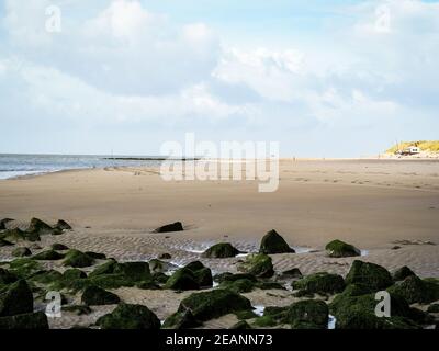 Nahaufnahme von moosbedeckten Felsen am Strand Stockfoto