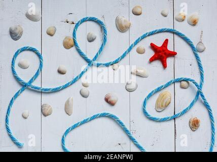 Rote Seesterne, Muscheln und blaues Seeseil auf türkisfarbenem Holzhintergrund. Stockfoto