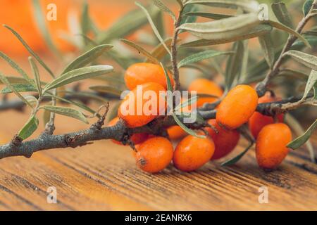 Sanddornzweig auf hölzernen Hintergrund im Detail. Stockfoto
