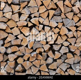 Stapel Stapel von Brennholz Eiche Holzstämme Stockfoto