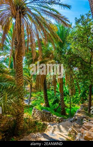 Blick auf eine Oase mit typischem Falaj Bewässerungssystem im Dorf Misfat al abriyeen im Oman. Stockfoto