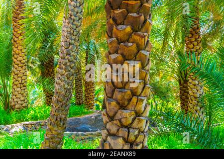 Blick auf eine Oase mit typischem Falaj Bewässerungssystem im Dorf Misfat al abriyeen im Oman. Stockfoto