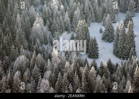 Bäume bedeckt mit Reif und Schnee in den Winterbergen - Weihnachten Hintergrund