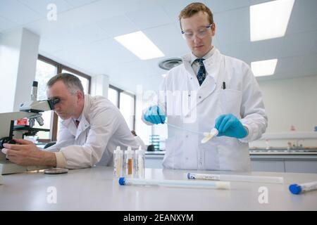 Labortechniker in weißer Schicht im Labor führt einen Tupfer durch Stockfoto