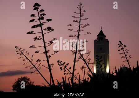 TUNESIEN SIDI BOU SAGTE ALTE STADT MOSCHEE Stockfoto