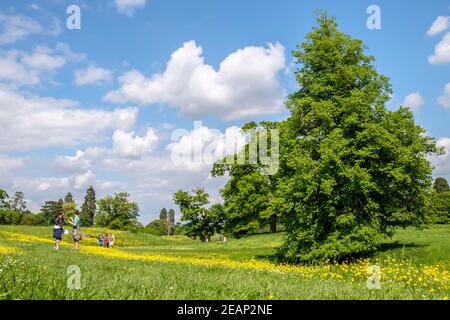 Wallingford Castle Meadows, (Gelände von Wallingford Castle) Wallingford, Oxfordshire, South East England, GB, Großbritannien Stockfoto