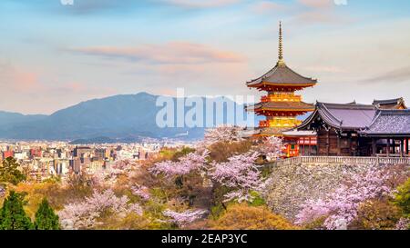 Kiyomizu-dera Tempel und Kirschblütenzeit (Sakura) Frühling in Kyoto Stockfoto