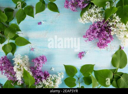 Lila Blumen auf hölzernen Hintergrund Stockfoto