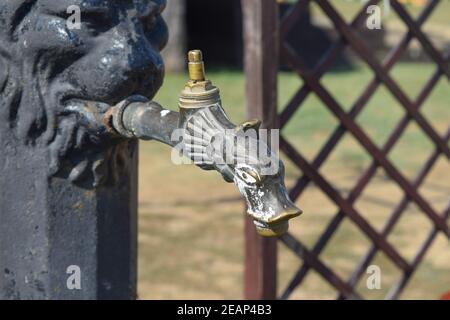 Wasserhahn in Form von einem Hecht Stockfoto