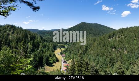 Blick von Burgbachfelsen bei Bad Rippoldsau im Schwarzwald Stockfoto