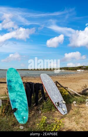 Surfbretter in Al Cartello Strand in der Nähe von Orbetello, Toskana, Italien Stockfoto