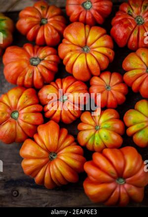 Rote gerippte Tomaten auf einem Holzhintergrund. Amerikanische oder Florentiner Sorte Nina . Tomate Blick von oben. Essen auf dem Tisch. Ort für Ihren Text. Herbstharv Stockfoto