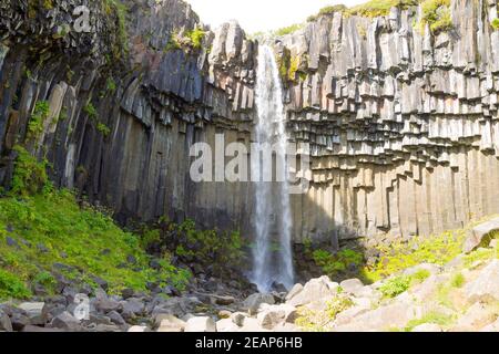 Svartifoss fällt in der Sommersaison Ansicht, Island Stockfoto