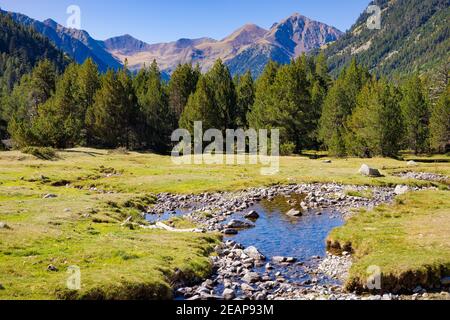 Blick auf die Wiesen von Aiguadassi auf dem Weg zum See Llong, Aiguestortes Nationalpark, Vall de Boi, Katalonien, Spanien Stockfoto