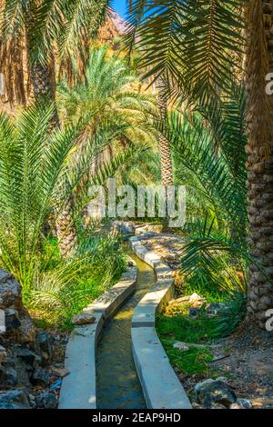 Blick auf eine Oase mit typischem Falaj Bewässerungssystem im Wadi Tiwi im Oman. Stockfoto