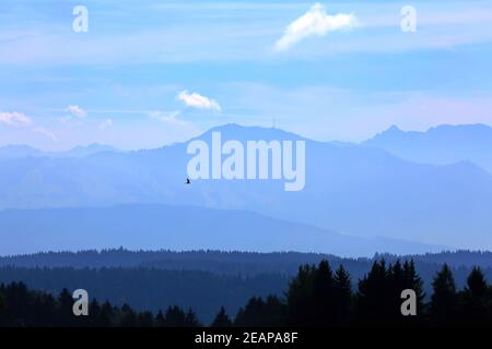 Alpen-panorama Stockfoto