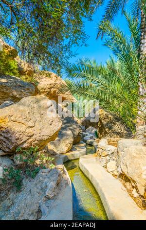 Blick auf eine Oase mit typischem Falaj Bewässerungssystem im Wadi Tiwi im Oman. Stockfoto