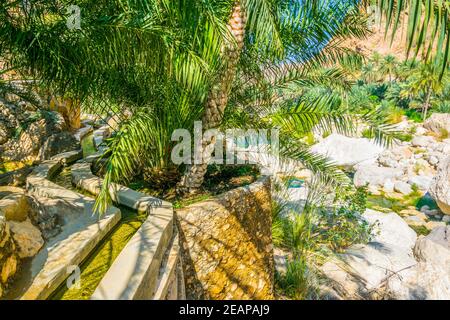 Blick auf eine Oase mit typischem Falaj Bewässerungssystem im Wadi Tiwi im Oman. Stockfoto