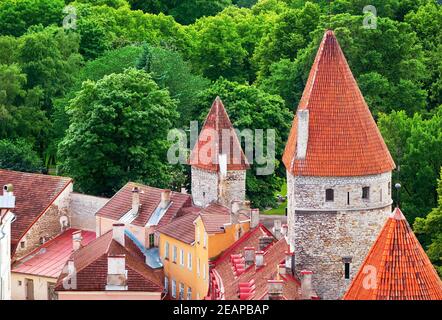 Blick zur Altstadt Tallinn Stockfoto