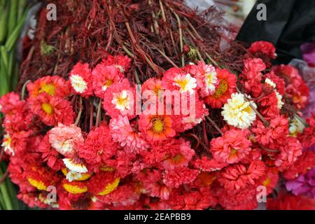 Blumen und Girlanden zum Verkauf auf dem Blumenmarkt in Kalkutta, West Bengal, Indien Stockfoto