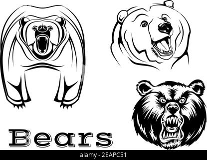 Starke wütend Grizzly trägt Zeichen isoliert auf weiß für Tattoo, Wildlifel und Maskottchen-Design Stock Vektor