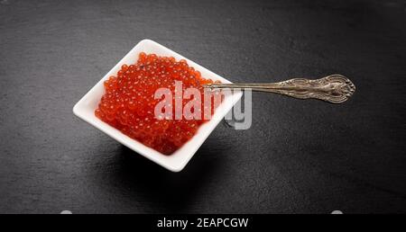 Frisch gemaserter Kaviar aus rotem Chum-Lachs in weißer Keramik Schüssel auf einem schwarzen Schieferstein Hintergrund Stockfoto