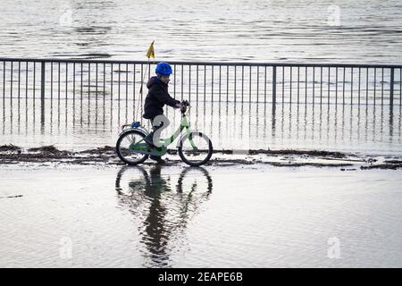 Rheinflut am 4th. Februar 2021 fährt Kind auf dem überfluteten Rheinufer in Deutz, Köln, durch das Wasser. Hochwa Stockfoto