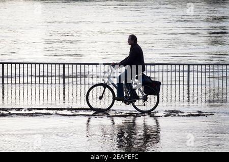 Rheinflut am 4th. Februar 2021 fährt man auf dem überfluteten Rheinufer in Deutz, Köln, mit dem Fahrrad durch das Wasser. Hochwass Stockfoto