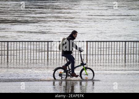 Rheinflut am 4th. Februar 2021 fährt man auf dem überfluteten Rheinufer in Deutz, Köln, mit dem Fahrrad durch das Wasser. Hochwass Stockfoto