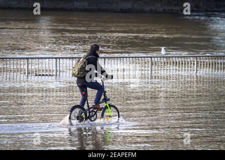 Rheinflut am 4th. Februar 2021 fährt man auf dem überfluteten Rheinufer in Deutz, Köln, mit dem Fahrrad durch das Wasser. Hochwass Stockfoto