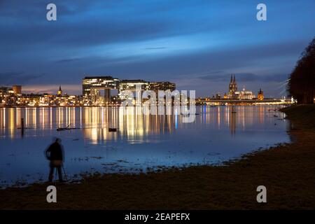 Hochwasser des Rheins am 4th. Februar. 2021, Blick über die überflutete Wiese im Ortsteil Deutz zum Rheinauer Hafen mit den Kranichhäusern und zu Stockfoto