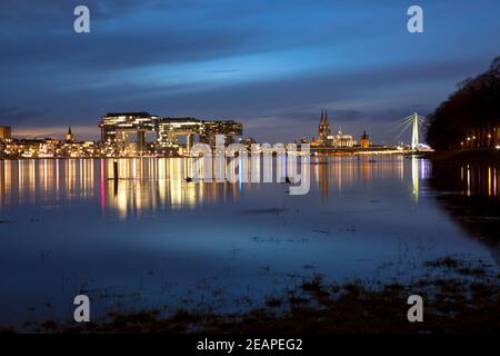 Hochwasser des Rheins am 4th. Februar. 2021, Blick über die überflutete Wiese im Ortsteil Deutz zum Rheinauer Hafen mit den Kranichhäusern und zu Stockfoto
