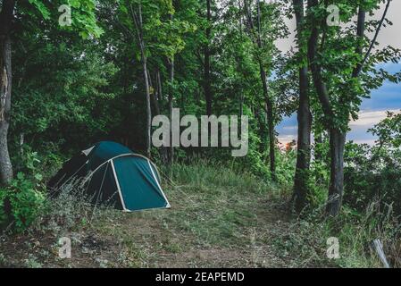 Camping im Wald Stockfoto