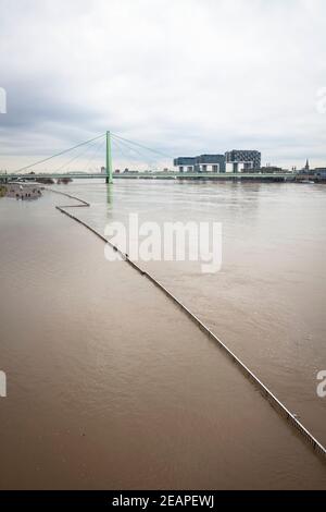 Hochwasser des Rheins am 5th. Februar. 2021, Blick über das überflutete Ufer im Ortsteil Deutz auf die Severins-Brücke und den Rheinauer Hafen mit t Stockfoto