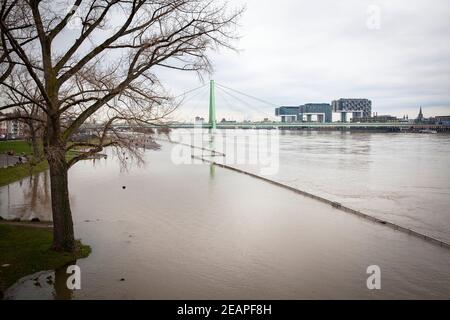 Hochwasser des Rheins am 5th. Februar. 2021, Blick über das überflutete Ufer im Ortsteil Deutz auf die Severins-Brücke und den Rheinauer Hafen mit t Stockfoto